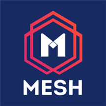 mesh